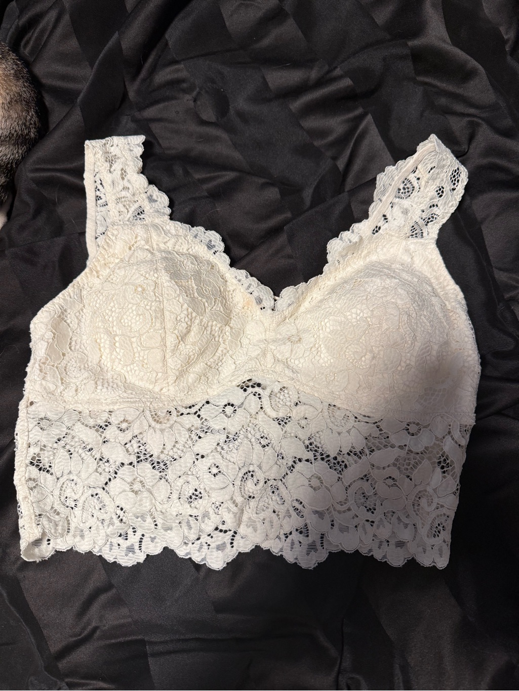 Buckle Bke Essentials White Lace Bralette